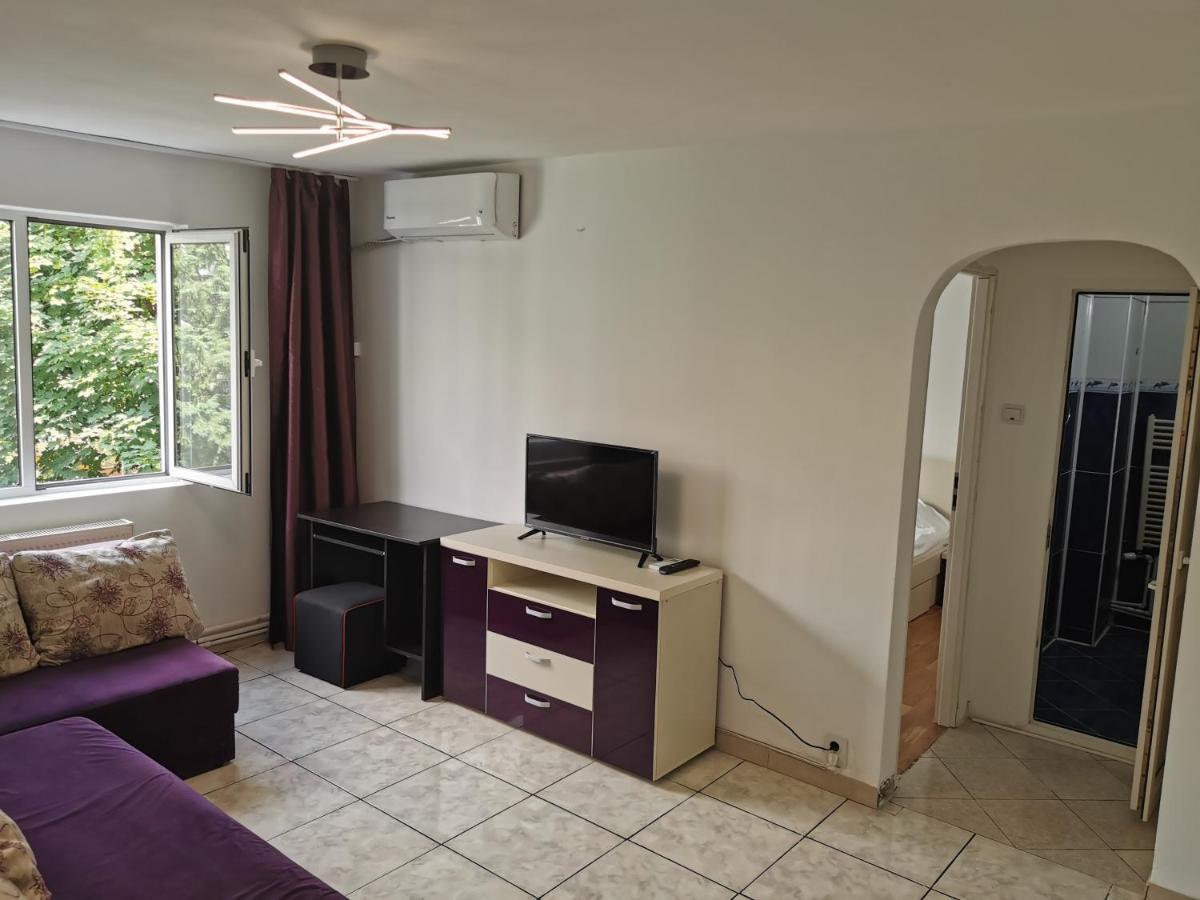 Confortable Cozy Apt Bukarest Værelse billede